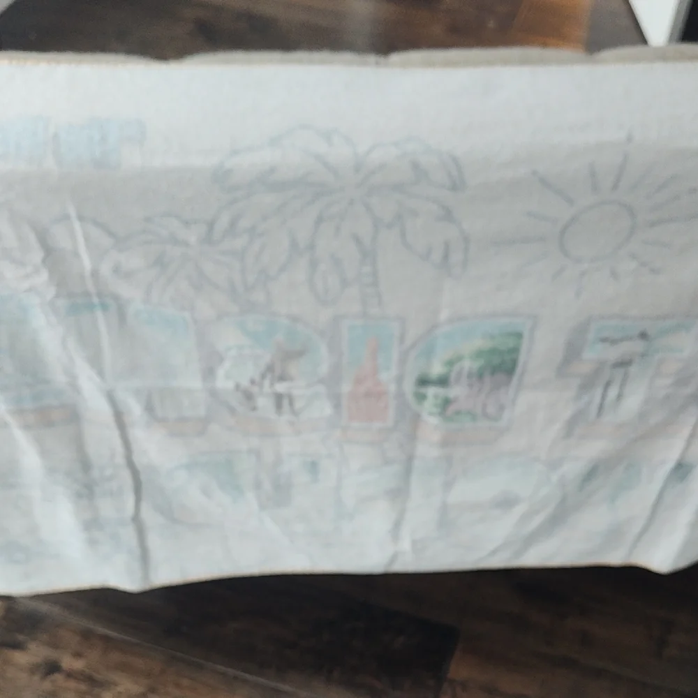 Disney Parks Large Authentic Cotton Collectible Beach Towel